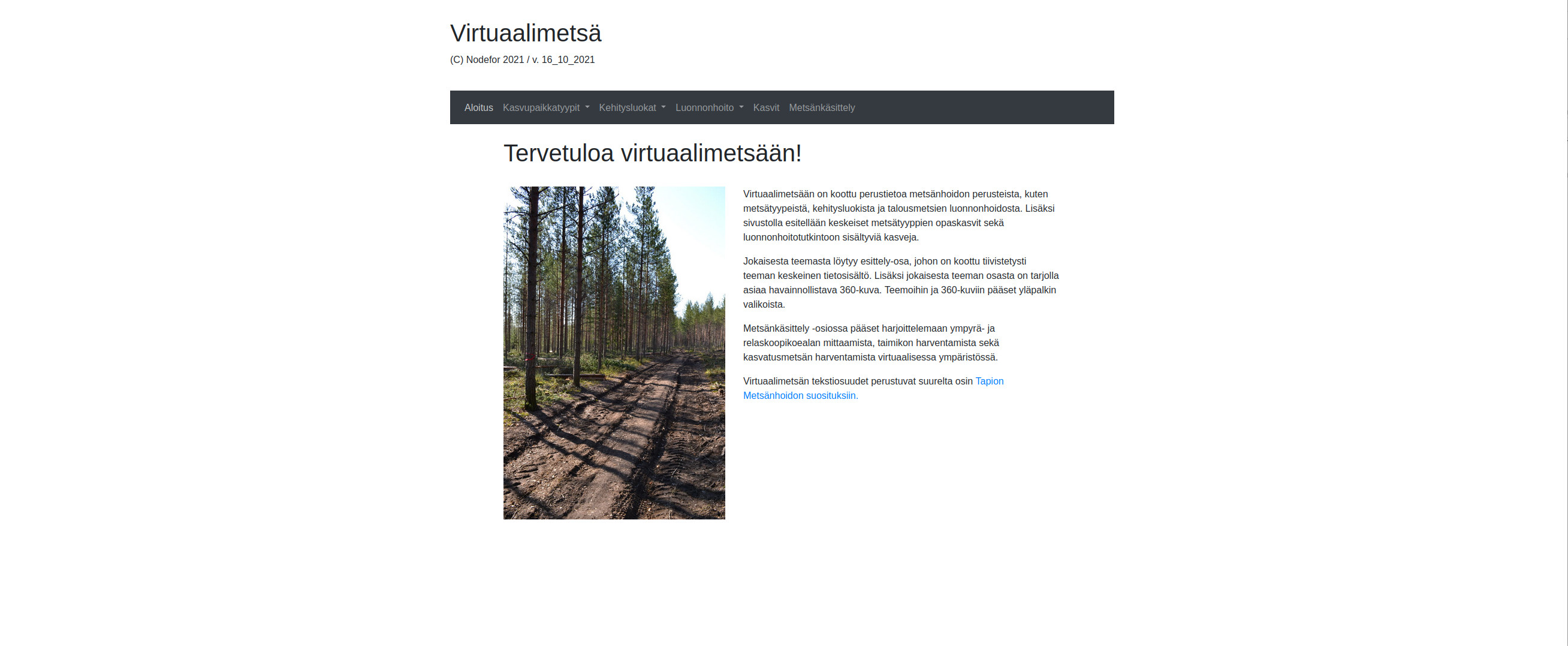 Virtuaalimetsa